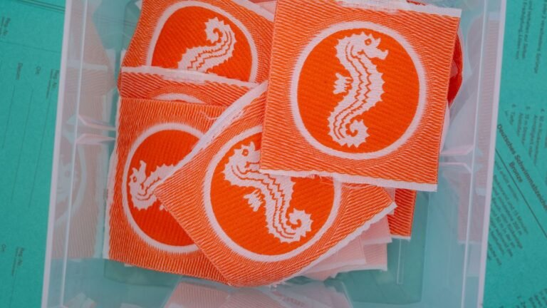 DLRG: Mehr Kinder in Hamburg erlangen Schwimmabzeichen