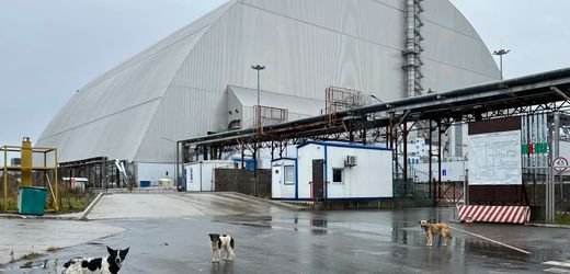 Tschernobyl 40 Jahre nach dem Unglück: »Die Sperrzone ist wie ein großes Labor«