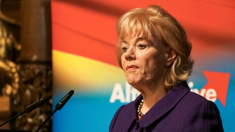 Desiderius-Erasmus-Stiftung: Finanzieren Steuergelder bald rechte Nachwuchsschmiede? – Politik