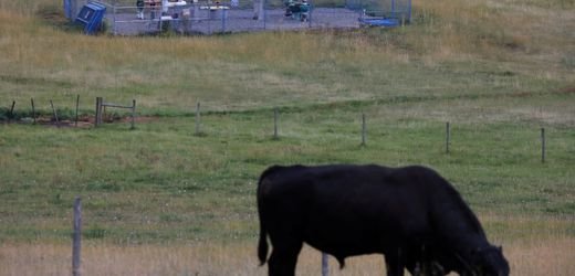 Kanadische Gaspipeline wird für Exporte nach Asien ausgebaut