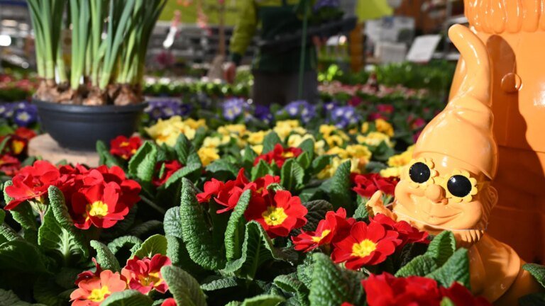 Ein Tag im Gartencenter: Wo die Weltlage kurz Pause macht – Stil