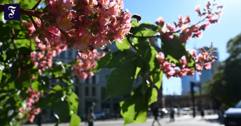 Wetter am Wochenende: Bis zu 29 Grad und erste Gewitter