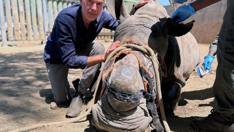 Einstand im Ersten: Dirk Steffens blickt zur Premiere auf 100 Jahre Kruger-Nationalpark