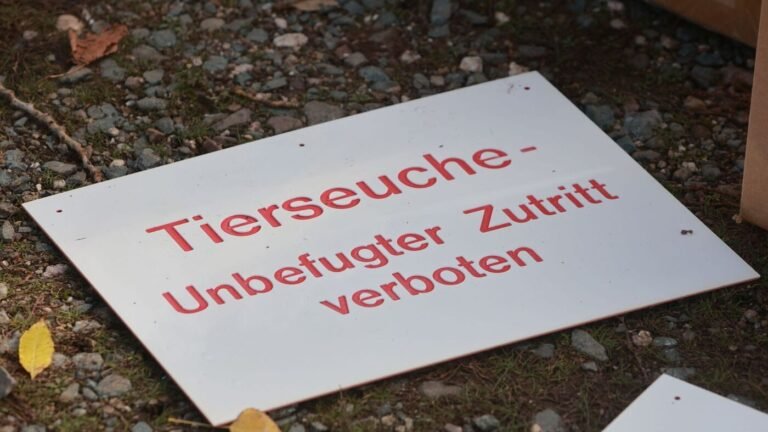 Ausbruch Newcastle-Krankheit: Geflügelbetriebe unter Druck: Neue Tierseuchen-Fälle