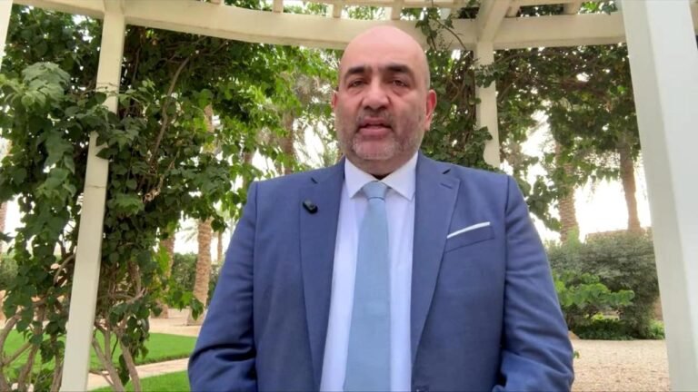 Nouripour fordert mehr Tempo beim Kampf gegen Kerosinmangel