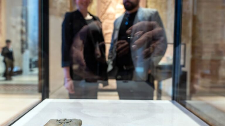 Rund 1000 Jahre alte Funde in Vitrine wiedervereint