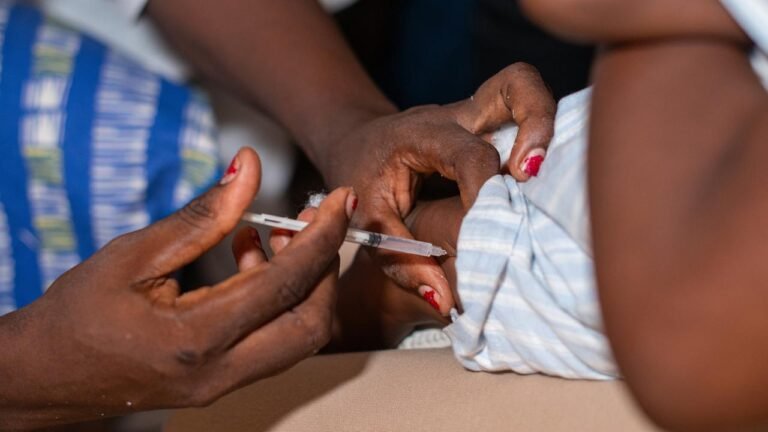 Mehr als 50 Millionen Impfdosen gegen Malaria in Afrika