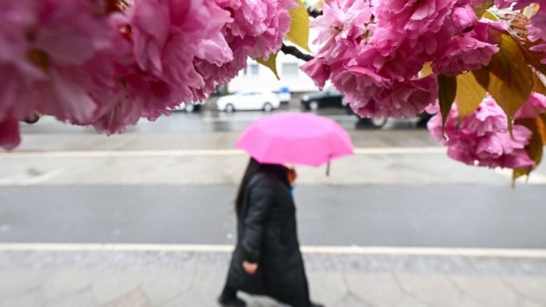 Viel Regen im April in Berlin und Brandenburg