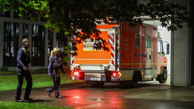 Keine Symptome: Hantavirus: Deutsche Passagierin wird in Düsseldorf untersucht