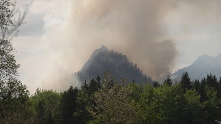 Saurüsselkopf bei Ruhpolding: Kurz vorm Gipfel lodert ein Waldbrand – Bayern