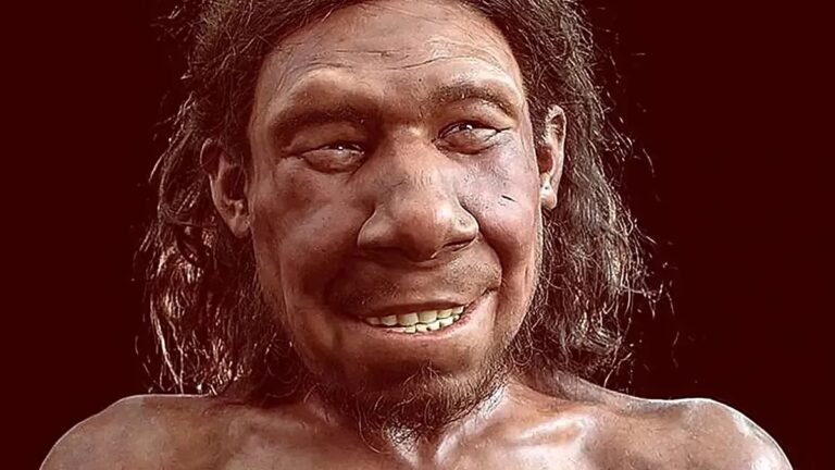 59.000 Jahre alte Zahn-OP? Hinweise auf Zahnmedizin bei Neandertalern