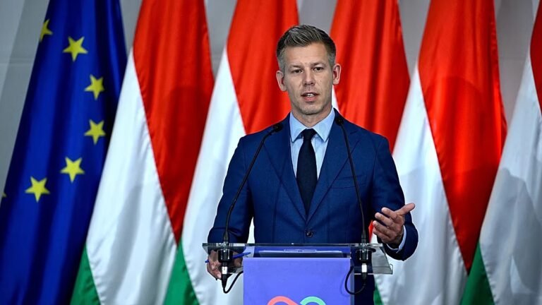 Magyar verteidigt Justizminister-Kandidaten und weist Großspende zurück