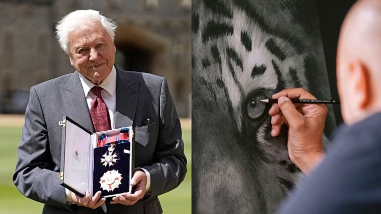David-Attenborough-Effekt: Tierkünstler, die der legendäre Naturfilmer inspiriert