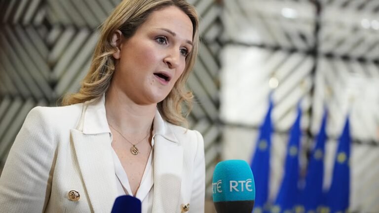 Irland: Merz-Plan zur assoziierten EU-Mitgliedschaft lässt Ukraine in der Schwebe