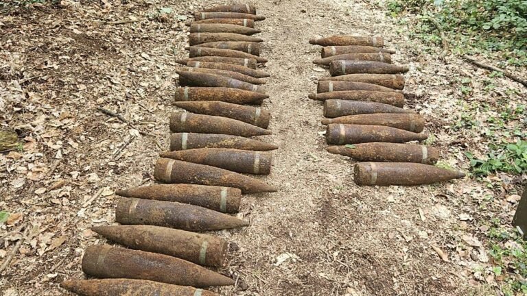 Fund während Spaziergang: 1,5 Tonnen sowjetische Munition in Berliner Wald entdeckt