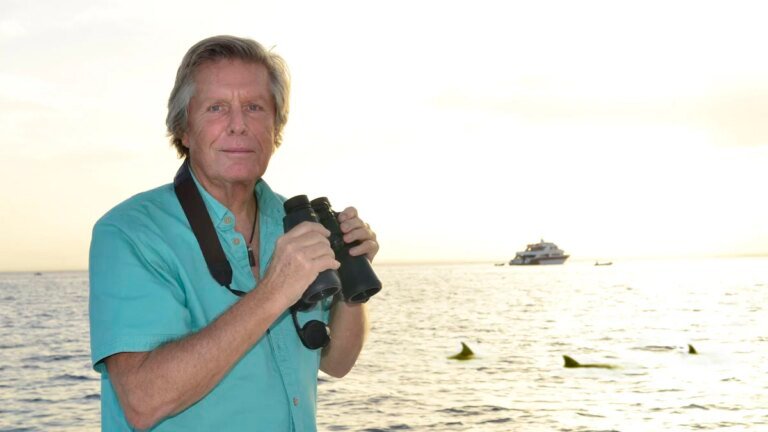 Warum nur Timmy? „In der Ostsee sterben täglich Schweinswale – und kein Mensch schert sich drum“ – München