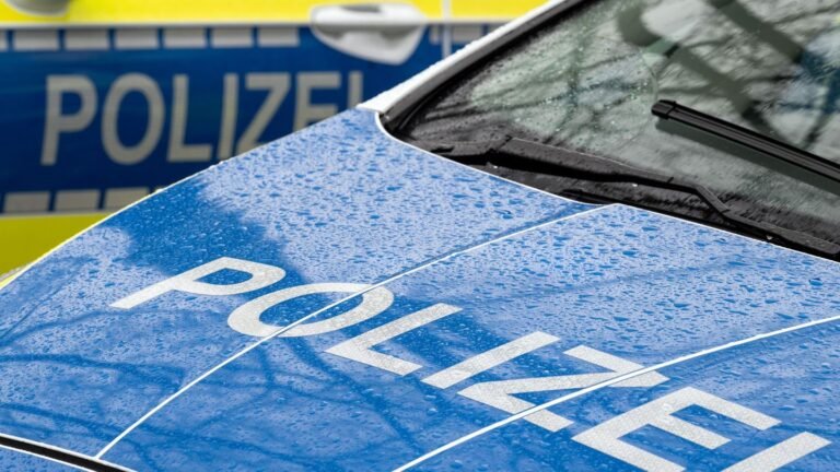Landkreis Birkenfeld: Ausrangierte Strommasten gestohlen – je 500 Kilogramm schwer