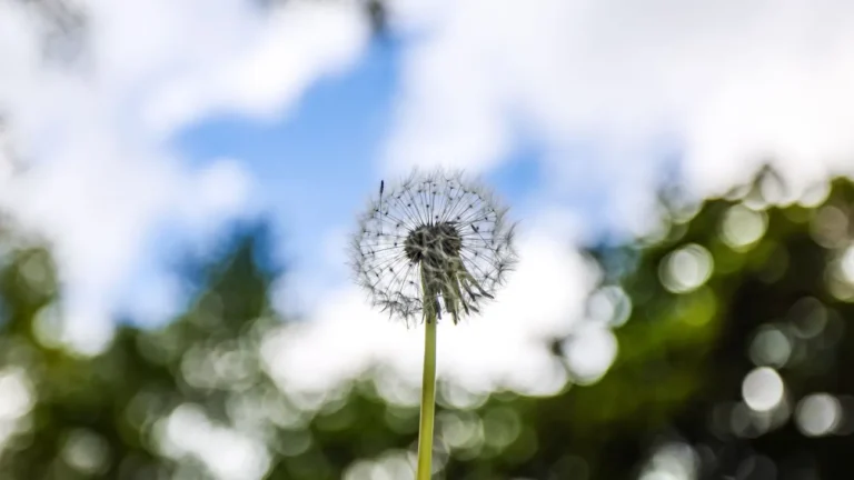 Wetter in NRW: Es bleibt wechselhaft mit Sonne, Regen und Wind