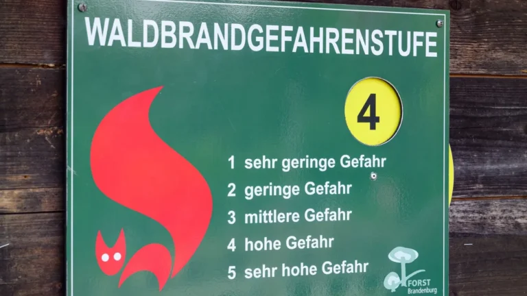 Striktes Rauchverbot: Anhaltende Trockenheit – Waldbrandgefahr steigt