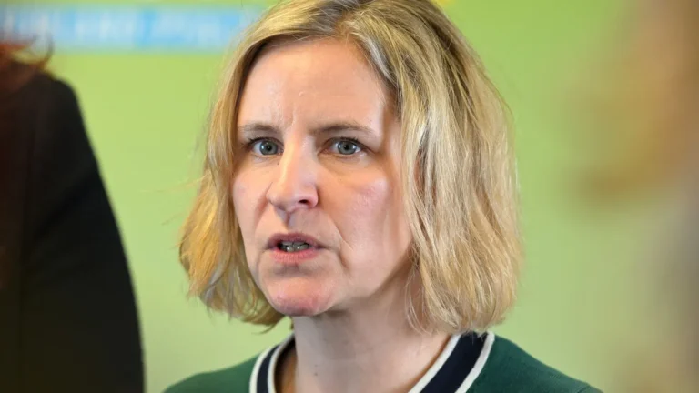 Landtag: Keine AfD-Politiker als Ausschuss-Vorsitzende?
