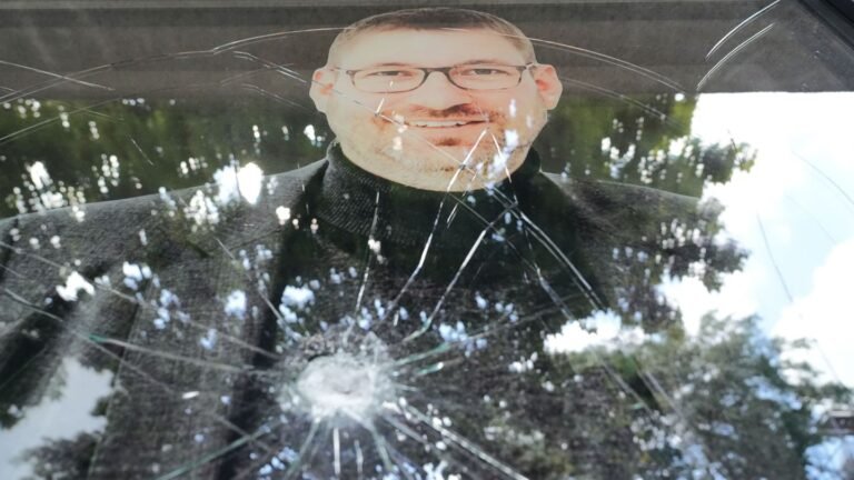 Statistik der Polizei: Angriffe auf Parteivertreter: Anstieg um knapp 40 Prozent