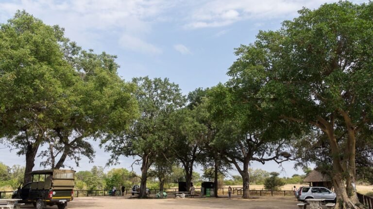 Leichen im Krüger-Nationalpark: Mordermittlungen nach Tod von Safari-Touristen in Südafrika