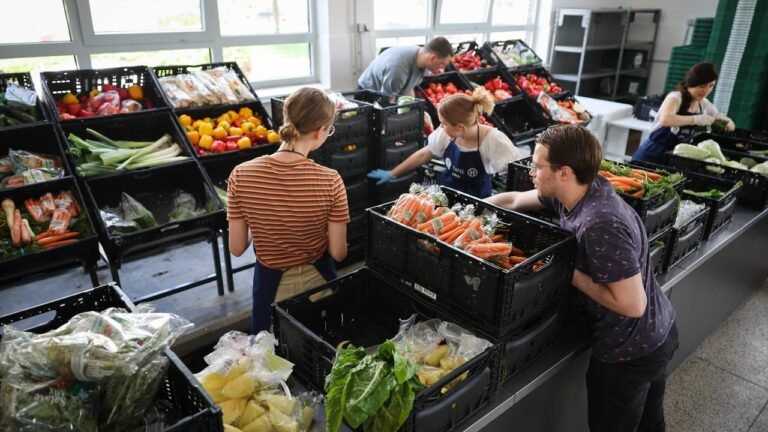 Tag des Ehrenamts: Was engagierte Helfer antreibt