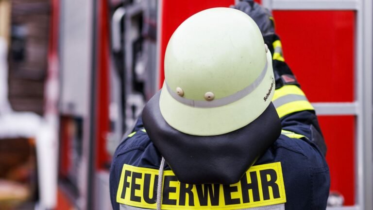 Essen auf Herd: Angebranntes Essen löst Feuerwehreinsatz in Ludwigshafen aus