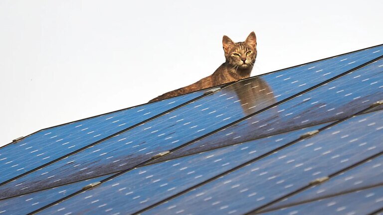 Energy Sharing in Deutschland: Strom mit Nachbarn teilen – Wirtschaft