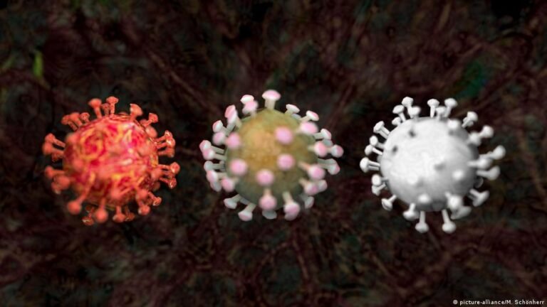 Endemie, Epidemie, Pandemie: Das sind die Unterschiede