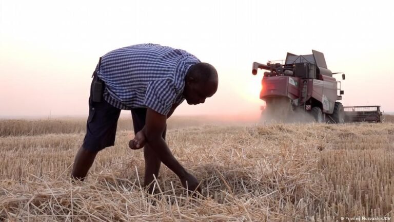 Landrückgabe an weiße Farmer schürt Skepsis