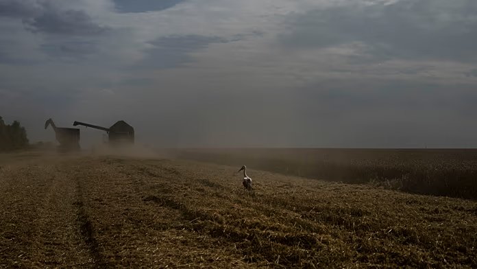 Nicht nur Israel: Kyjiw wirft Ägypten vor, der Ukraine gestohlenes Getreide von Russland zu kaufen