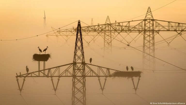 Viel grüner Strom, wenig Speicher: das europäische Nadelöhr