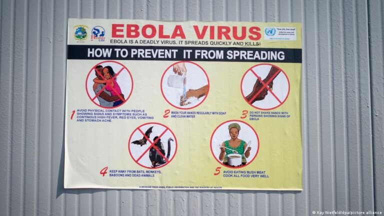 WHO-Alarm nach Ebola-Ausbruch in Kongo und Uganda