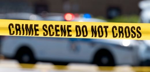 Nebraska in den USA: Hund verletzt Frau mit Schrotflinte