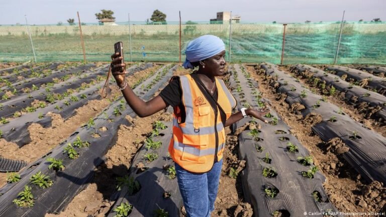 Afrikas Antworten auf die Hormus-Blockade