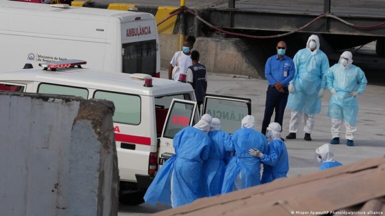 Hantavirus ist keine neue Pandemie