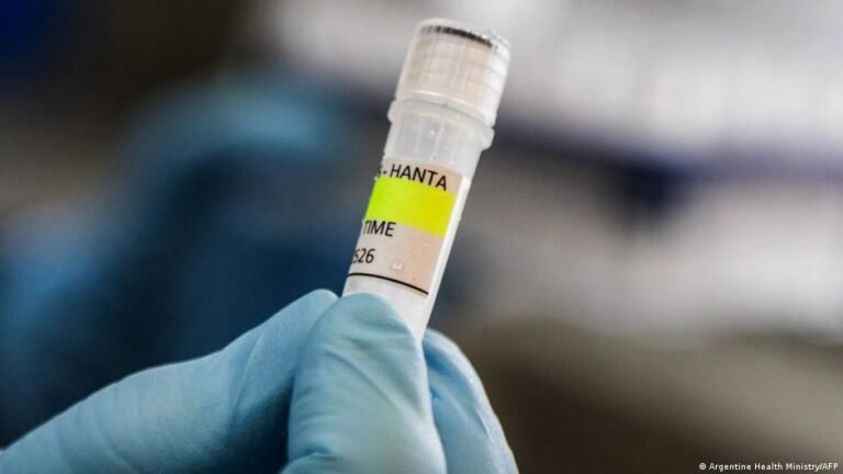 Hantavirus auf Kreuzfahrt: Ansteckung, Symptome, Therapie