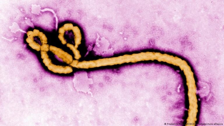 Ebola-infizierter US-Bürger wird nach Deutschland gebracht
