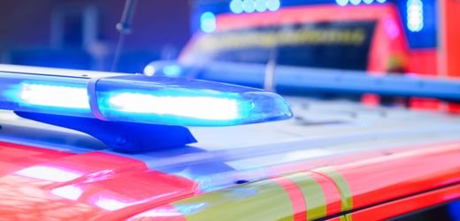 Berlin: Ast fällt auf Menschengruppe – sechs Verletzte