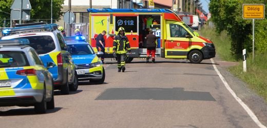Dölzig bei Leipzig: Tierschützer fordern nach Ausbruch von Tiger ein Durchgreifen der Bundesregierung