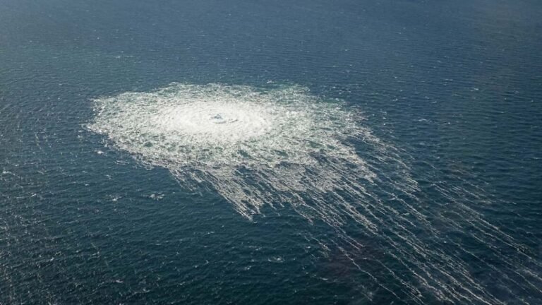 Wer steckt hinter der Sabotage?: Hitzige Debatte über AfD-Antrag für Nordstream-Untersuchungsausschuss