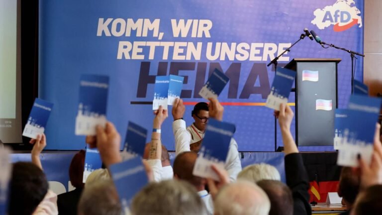 AfD strebt Alleinregierung im Nordosten an