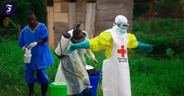 WHO: Gesundheitsnotstand wegen Ebola – 80 mutmaßliche Tote gemeldet