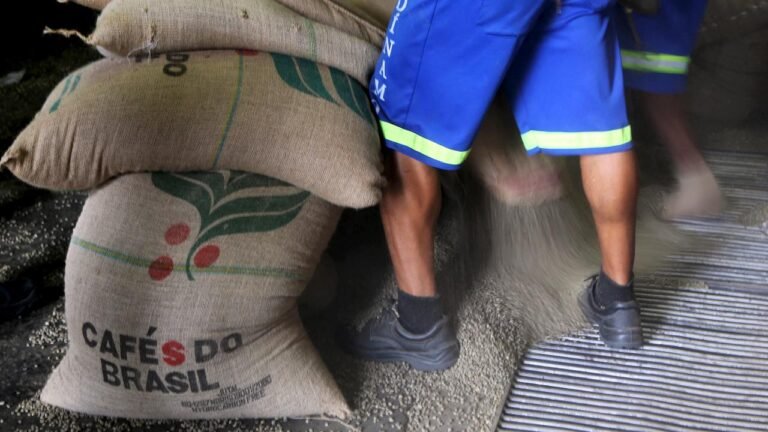 Mercosur-Abkommen tritt in Kraft: Neue Chancen, neue Unsicherheit