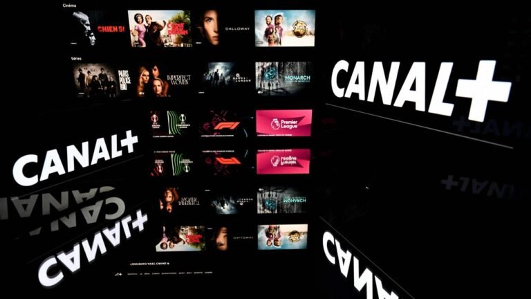Debatte in Cannes: Der Einfluss des rechten Milliardärs auf das Kino