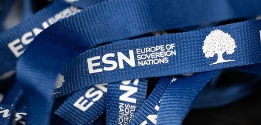 AfD: Überwachungsbehörde nimmt Europapartei der Rechtsextremen ins Visier