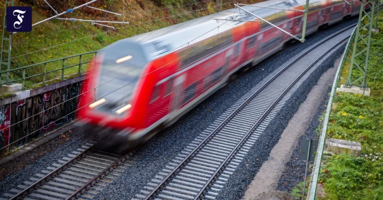 Subventionsjunkies und das 9-Euro-Ticket | FAZ