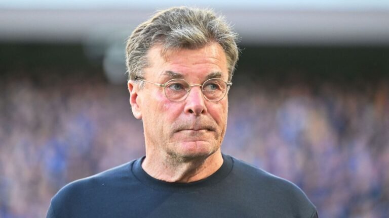 2. Fußball-Bundesliga: Beförderung nach Abstieg: Hecking neuer Wolfsburg-Sportchef