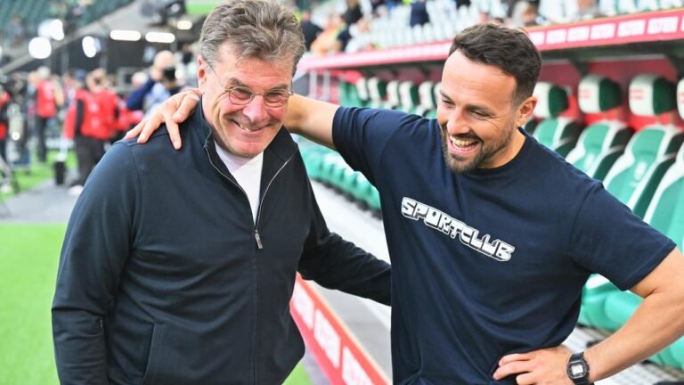 Wolfsburgs Hecking vor Relegations-Showdown gelassen